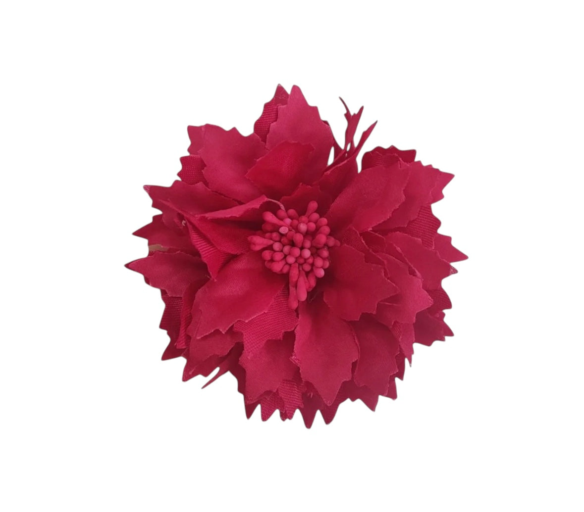Dalia pequeña fucsia