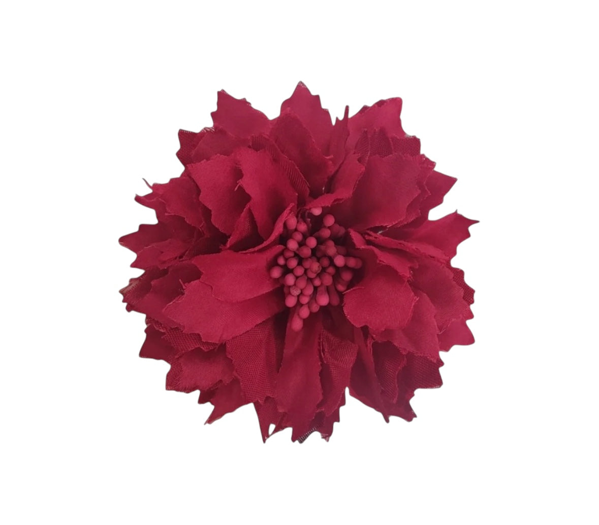 Dalia pequeña rojo oscuro