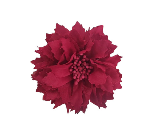 Dalia pequeña rojo oscuro