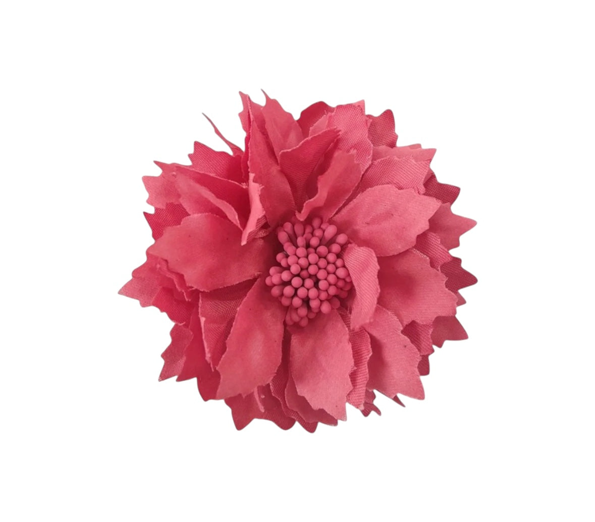 Dalia pequeña terracota