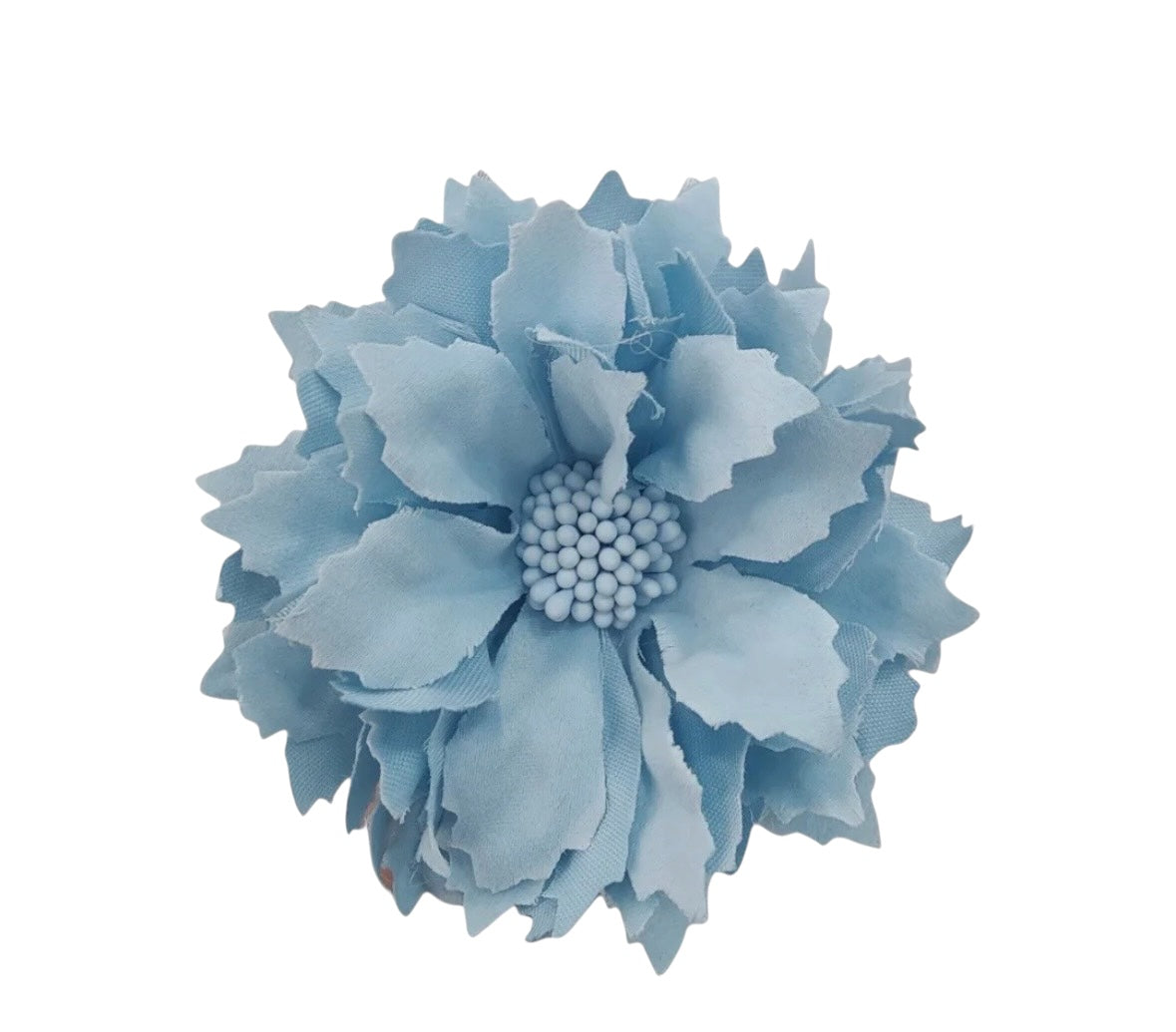 Dalia pequeña celeste