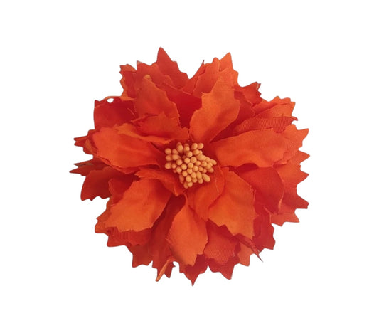 Dalia pequeña naranja