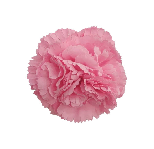 Clavel pequeño rosa chicle