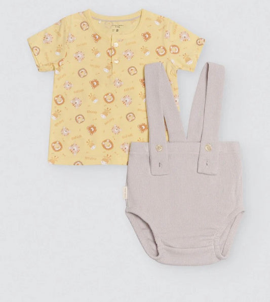 Conjunto ranita leon