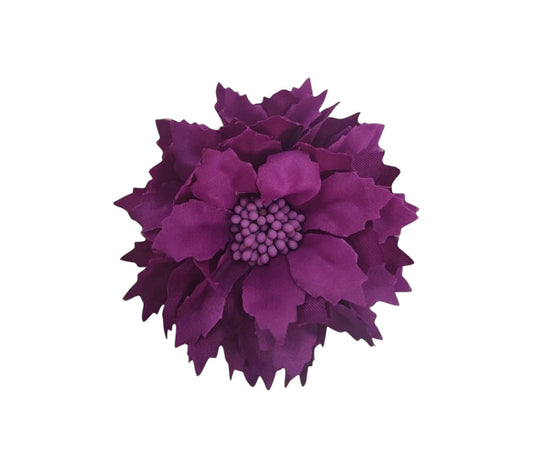 Dalia pequeña morada