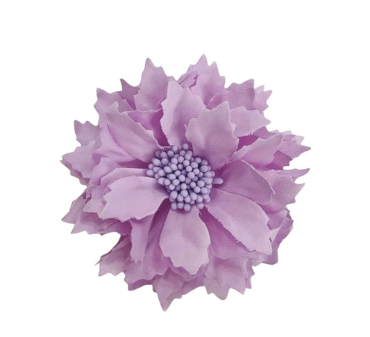 Dalia pequeña malva