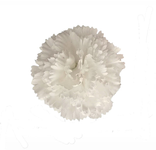 Clavel pequeño blanco